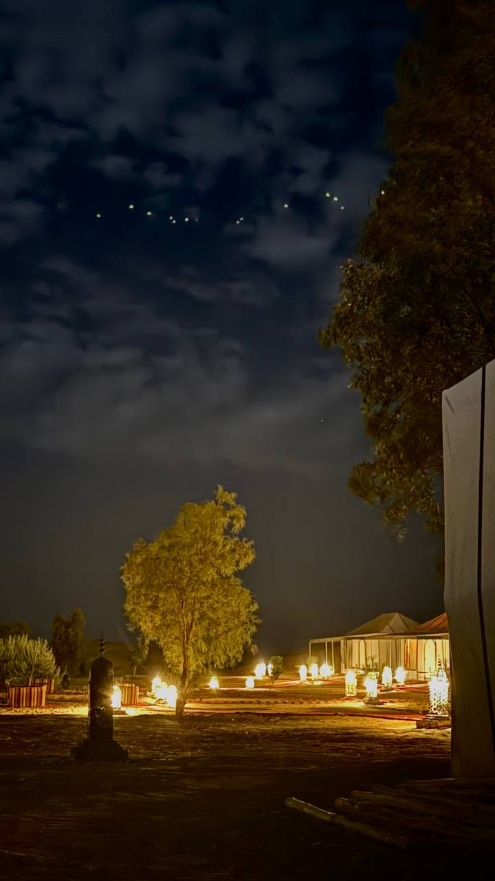 Dim night sky with blurred tree silhouettes and faint clouds.