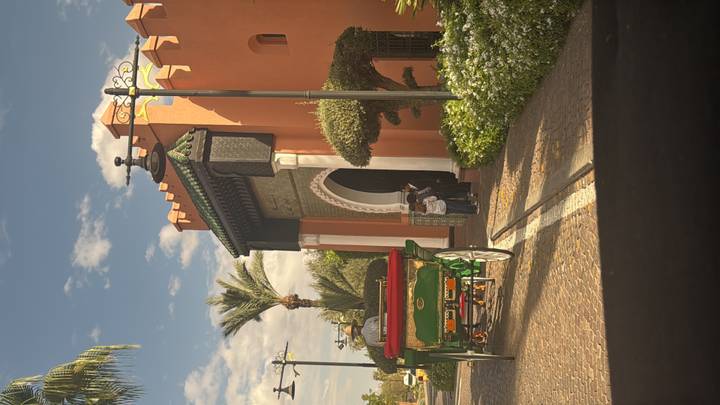 Horse-drawn carriage enters an ornate ochre gate framed by palms in Marrakesh.