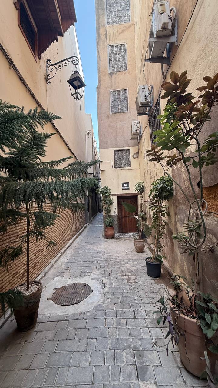 Narrow stone alleyway in the Fes medina lined with potted plants and ornate doors.