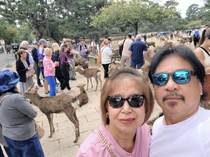 Crowded scene with deer mingling among tourists; couple takes a selfie in Nara Park.