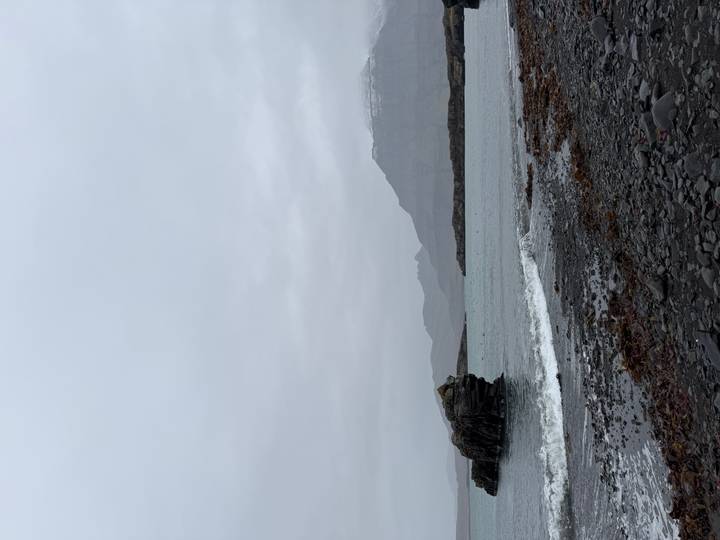 Rocky black-sand shoreline with a solitary sea stack under a gray sky.