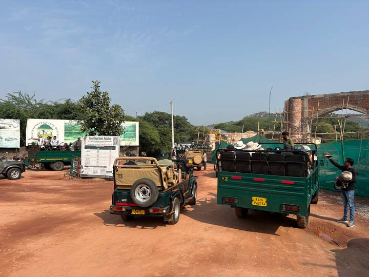 Green safari jeeps gathering near park entrance for a wildlife drive.