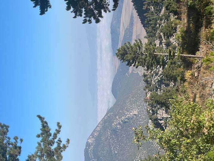 Mountainous landscape with pine trees and a valley blanketed in low cloud under a blue sky.