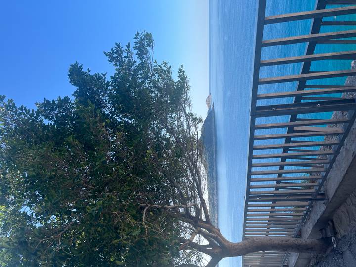 View of the blue sea framed by a metal railing and leafy tree branch.