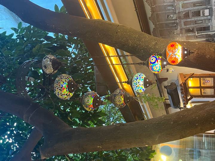 Colorful hanging mosaic glass lamps suspended from a tree branch in an outdoor market setting.