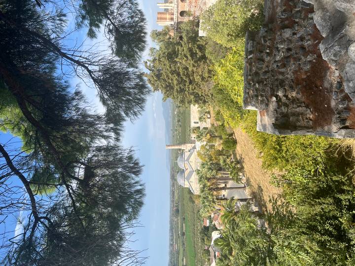 Scenic overlook of a countryside mosque complex framed by pine branches with distant mountains.