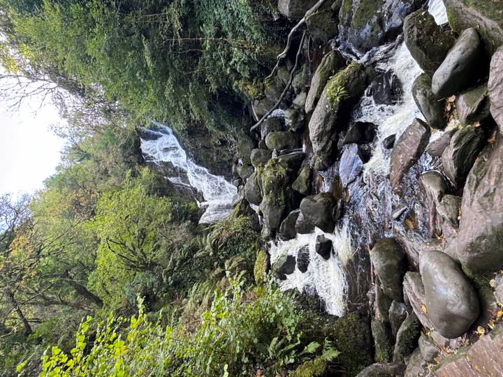 Torc Waterfall cascades through lush green forest over moss-covered boulders.