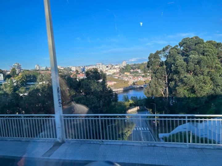 Blurred view through a vehicle window of a river, city skyline and eucalyptus trees