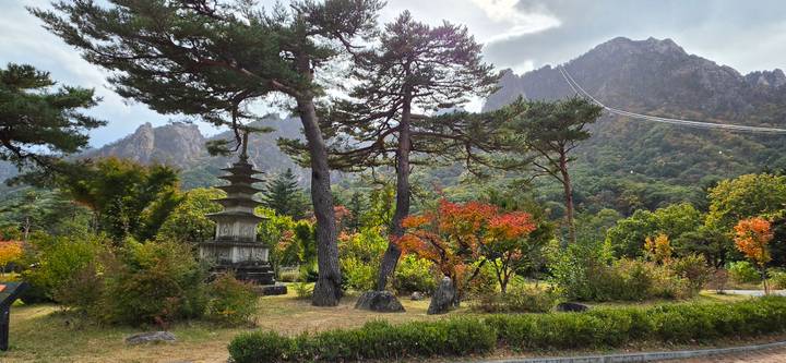 Autumn foliage surrounds pine trees and a stone pagoda against rugged peaks of Seoraksan.