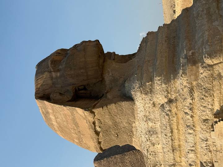 Side profile of the Great Sphinx of Giza under clear blue sky