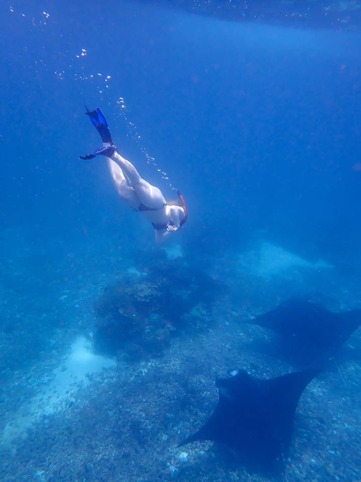 Snorkeler diving underwater near a coral reef with a manta ray in the background.