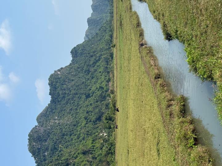 Flat grassy wetland bordered by forested karst hills with a narrow stream in the foreground.