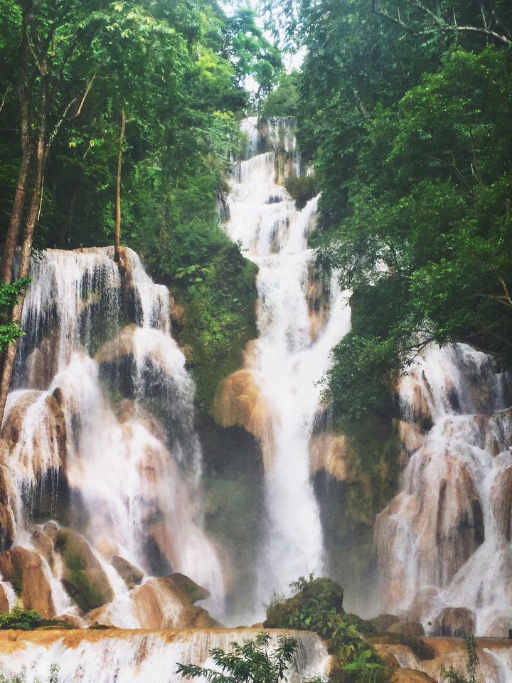 Cascade dans une forêt verdoyante.