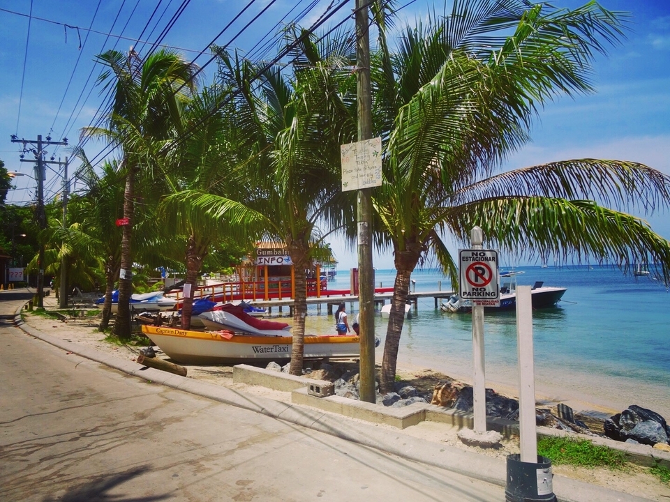 Scène côtière avec des palmiers, des bateaux et un ciel dégagé.