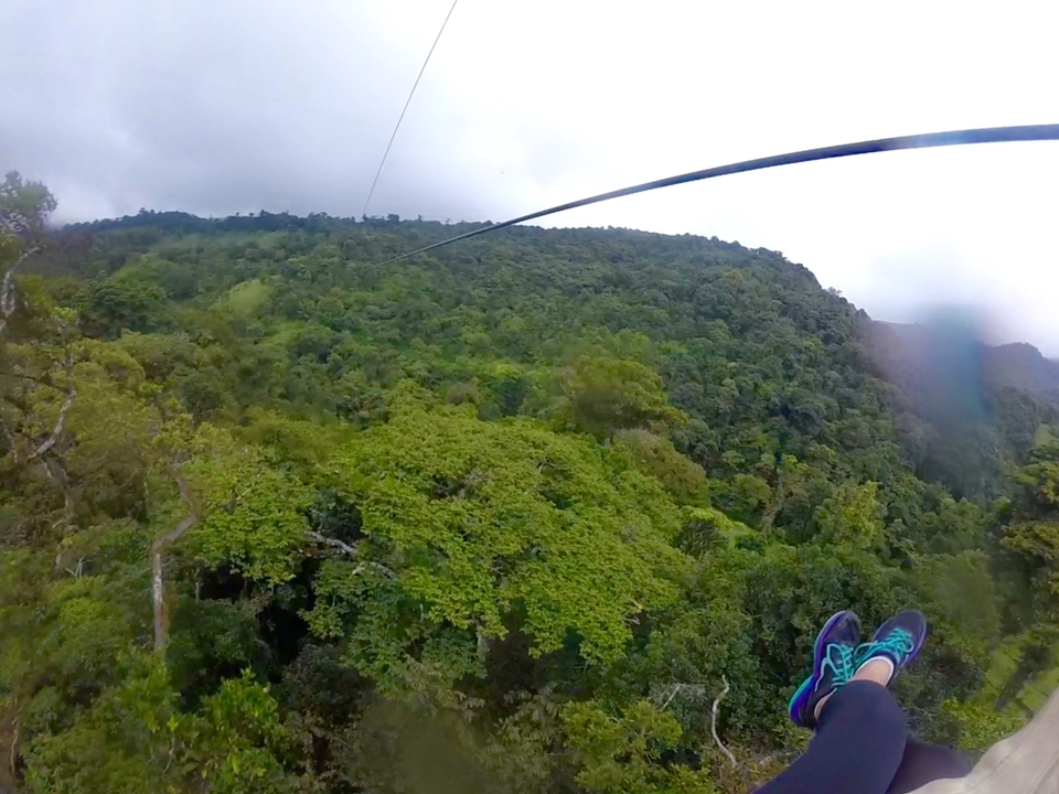 Vue d'une tyrolienne au-dessus d'une forêt dense.