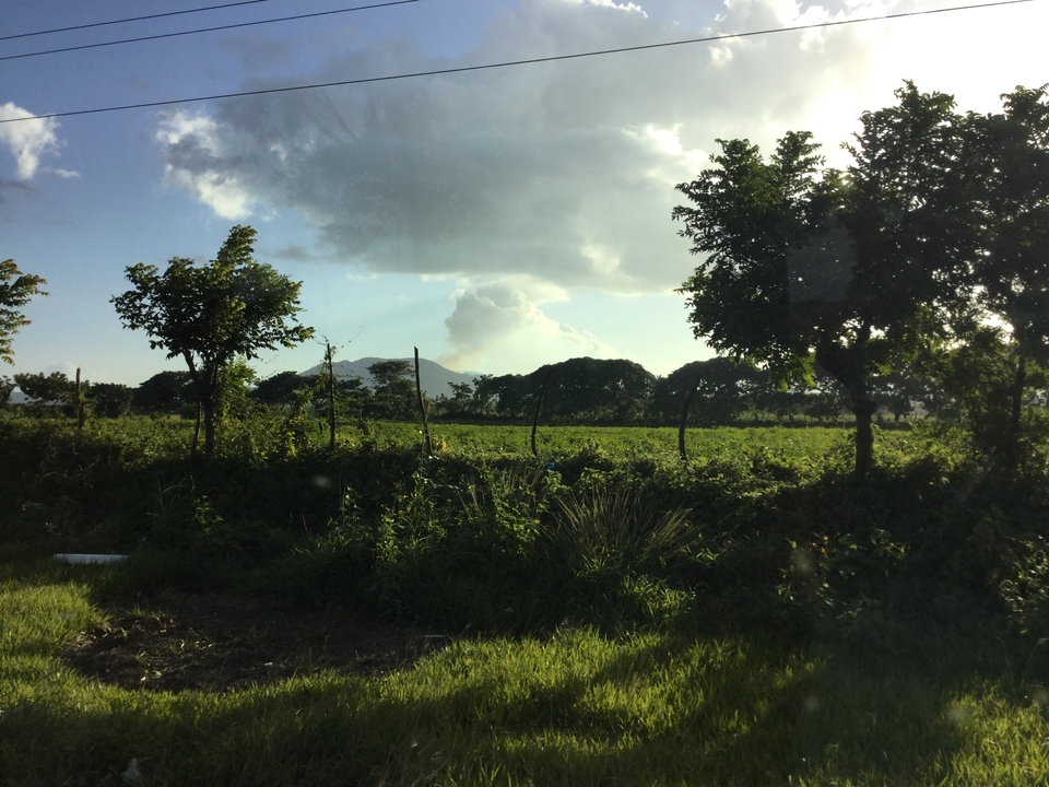 Un paysage rural serein avec des arbres et des montagnes lointaines.