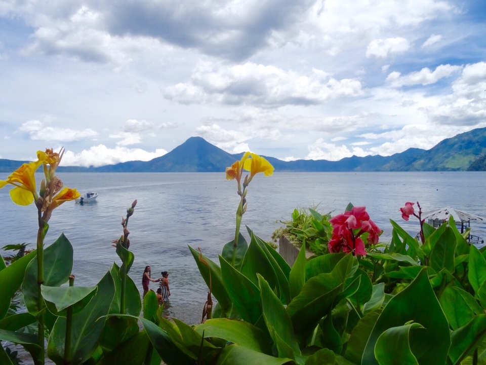 Vue sur le lac avec des fleurs et des montagnes.