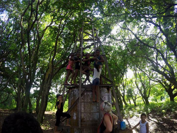 Children climbing a metal structure in a forest.