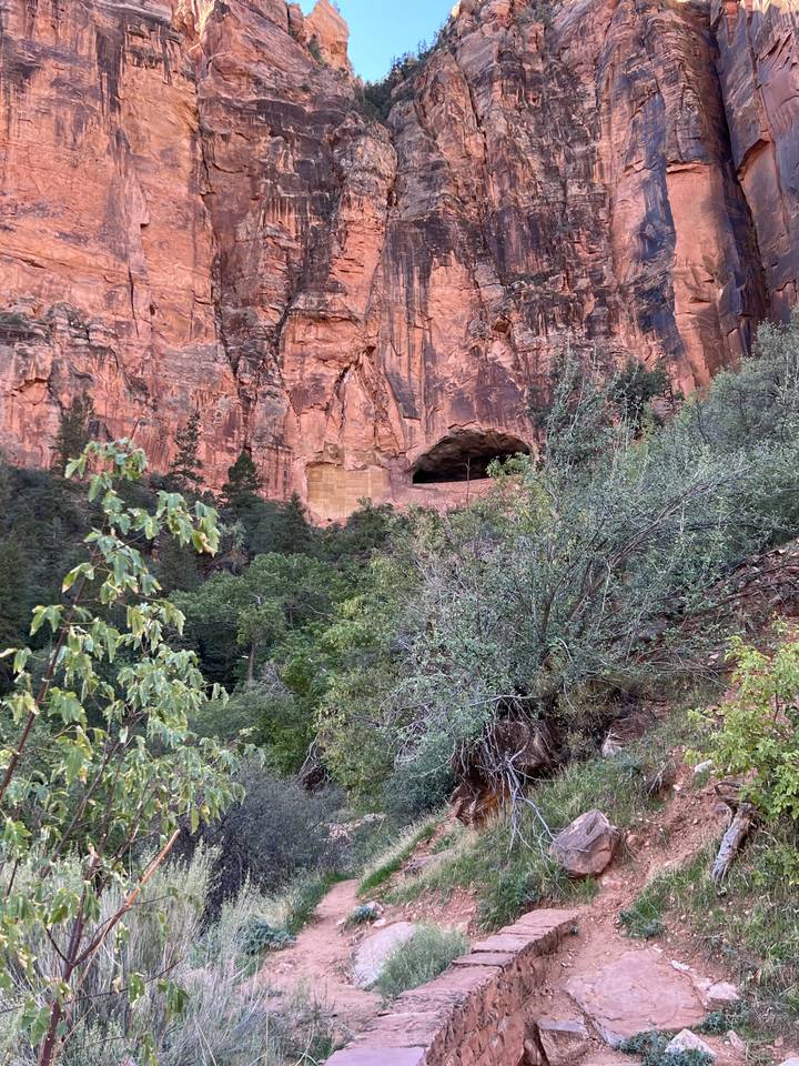 Vue panoramique d'un canyon de roche rouge avec une végétation luxuriante.