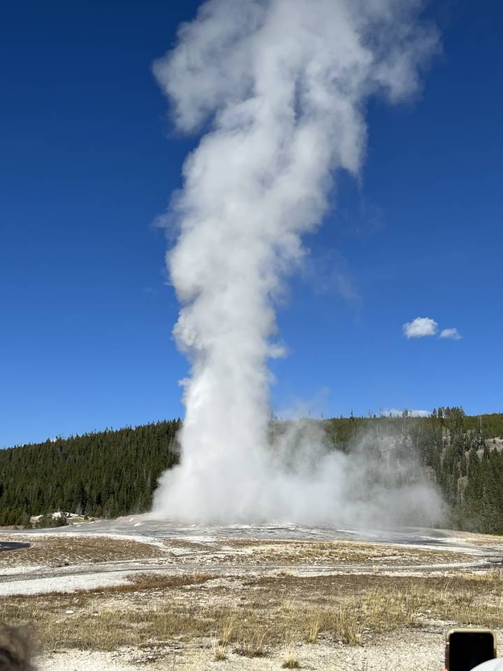 Geyser en éruption dans une zone géothermique avec un ciel bleu clair.