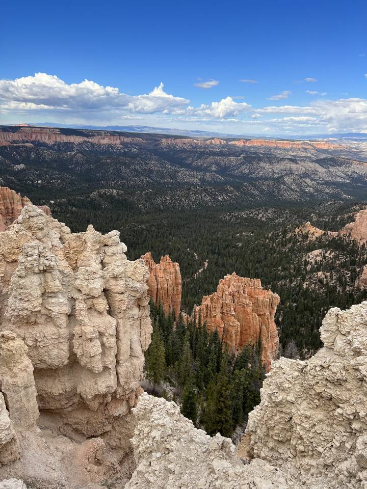 Paysage de Bryce Canyon avec cheminées de fées et forêt.