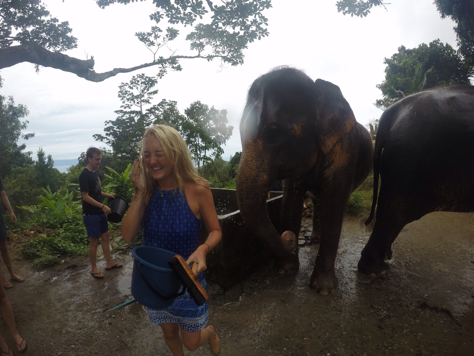Visitors splash water while washing an elephant on a jungle hillside.
