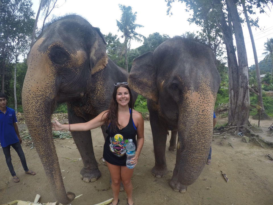 Woman with elephants in an outdoor environment.