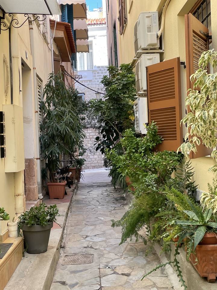 Ruelle étroite pavée de pierres avec des plantes en pots.