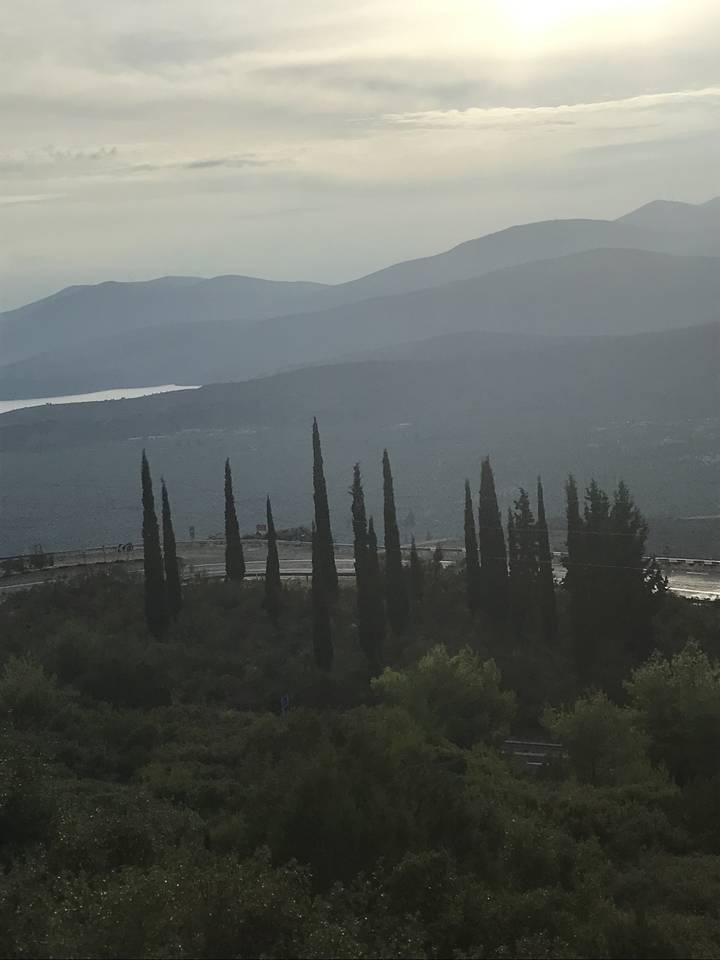 Paysage bordé d'arbres avec des montagnes au loin.