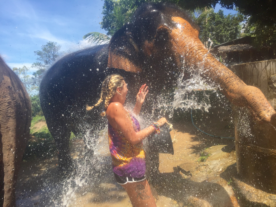 Woman getting soaked by an elephant spraying water.
