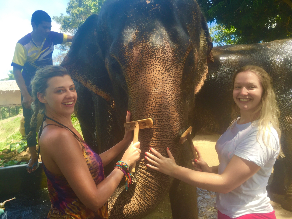 Two women washing an elephant.