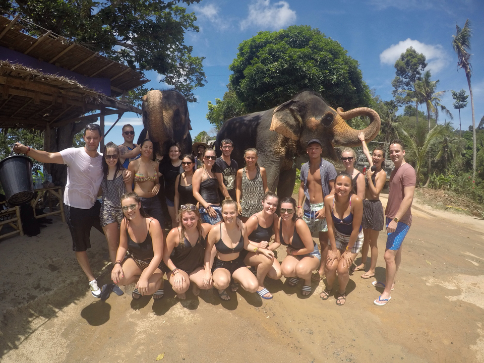 Large group photo with elephants.