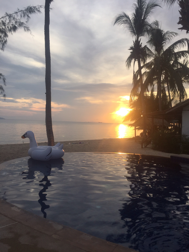 Inflatable swan floating in an infinity pool overlooking a palm-lined beach at sunset.