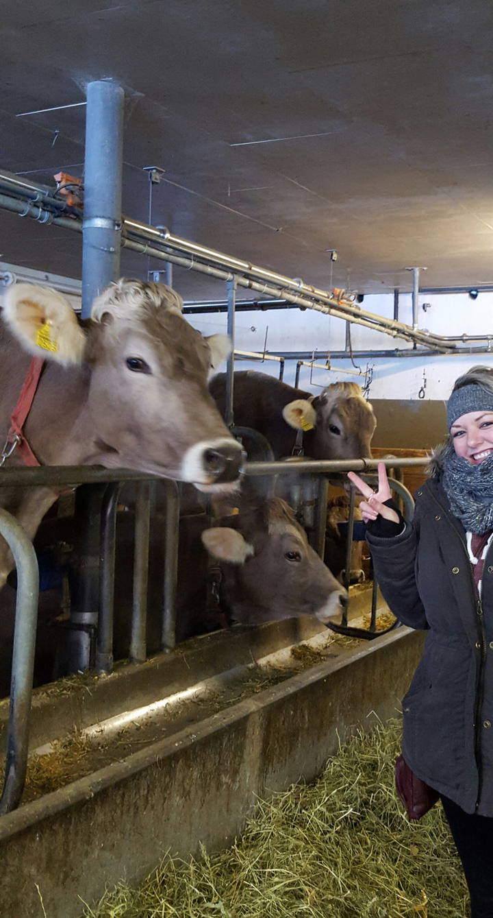 Personne posant avec des vaches dans une étable, montrant de l'excitation.