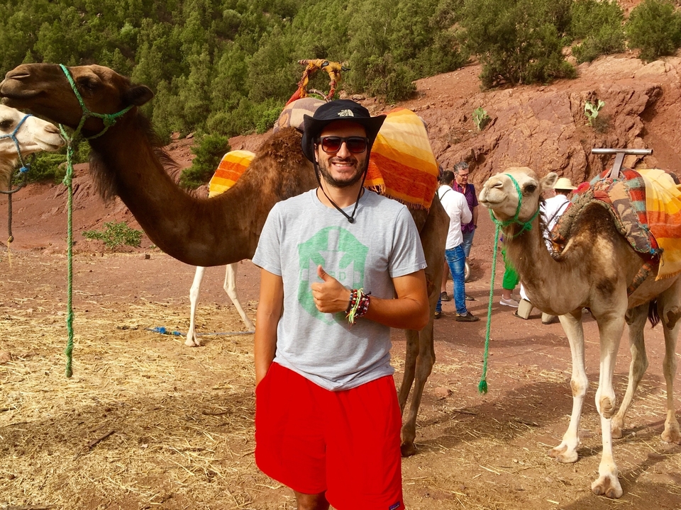 Personne debout à côté de chameaux portant des couvertures colorées.