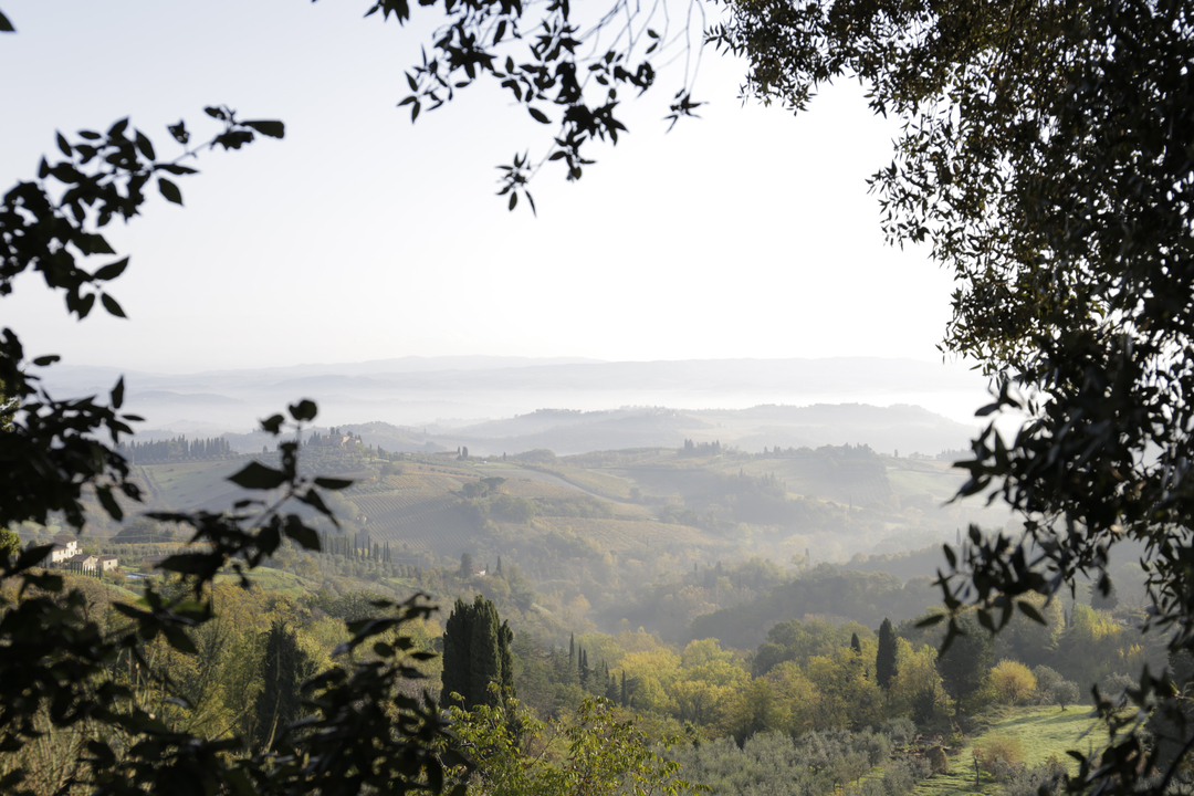 Vue panoramique d'une vallée à la végétation luxuriante.