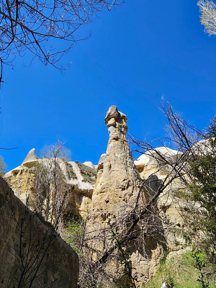 Pinacle rocheux entouré de végétation.