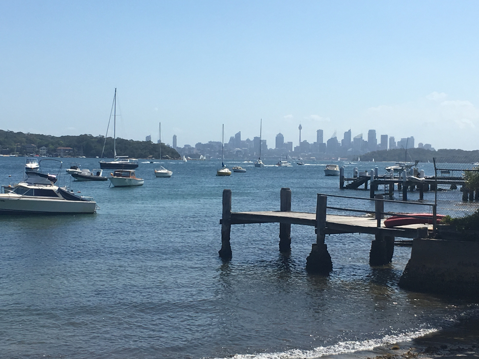Boats in a harbor with a city skyline in the background.