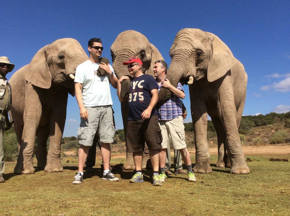 Groupe d'adultes avec des éléphants en plein air.