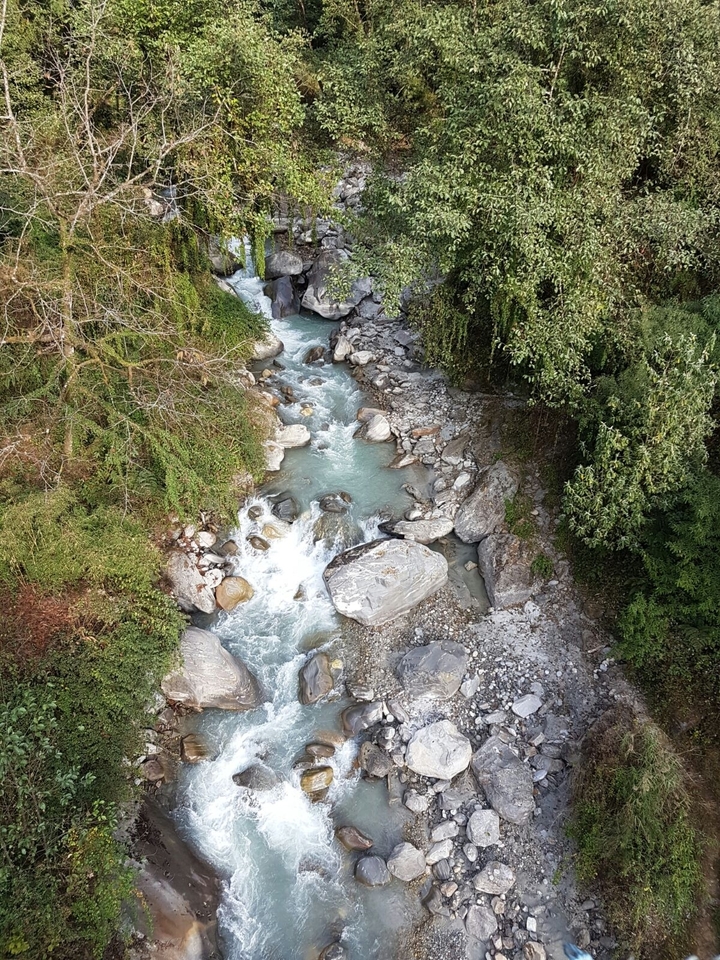 Ruisseau coulant avec des rochers et de la verdure luxuriante.