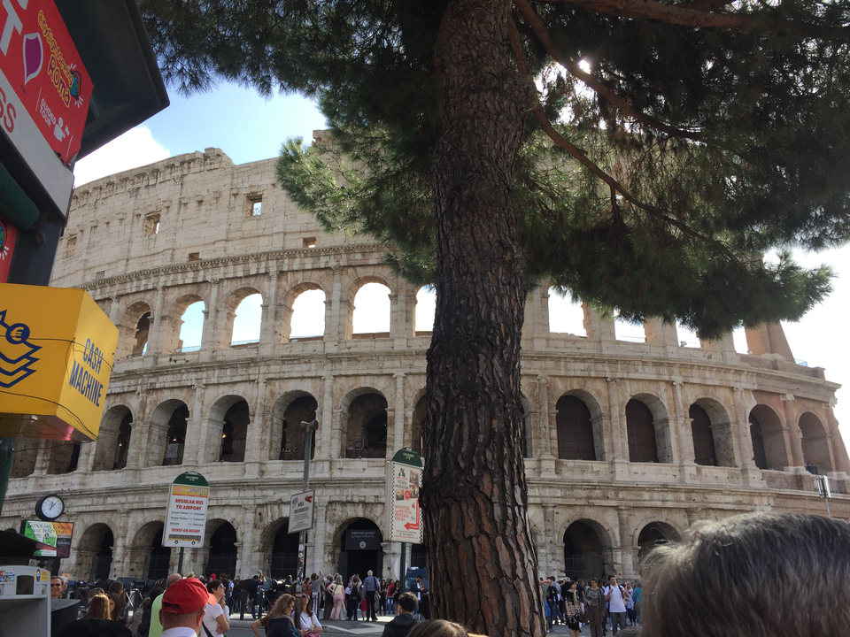 Colosseum partially obscured by a tree.