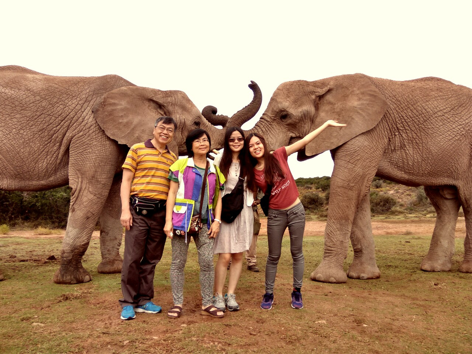Famille posant avec deux éléphants étendant leurs trompes.