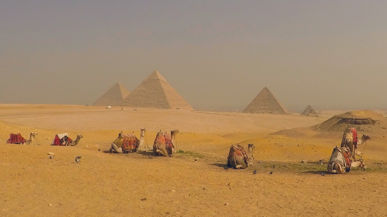 Scène de désert avec des chameaux et des pyramides en arrière-plan.