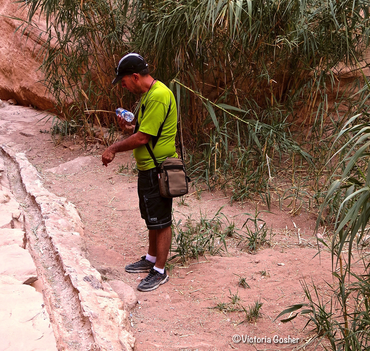 Person holding a water bottle standing among vegetation and rocks.