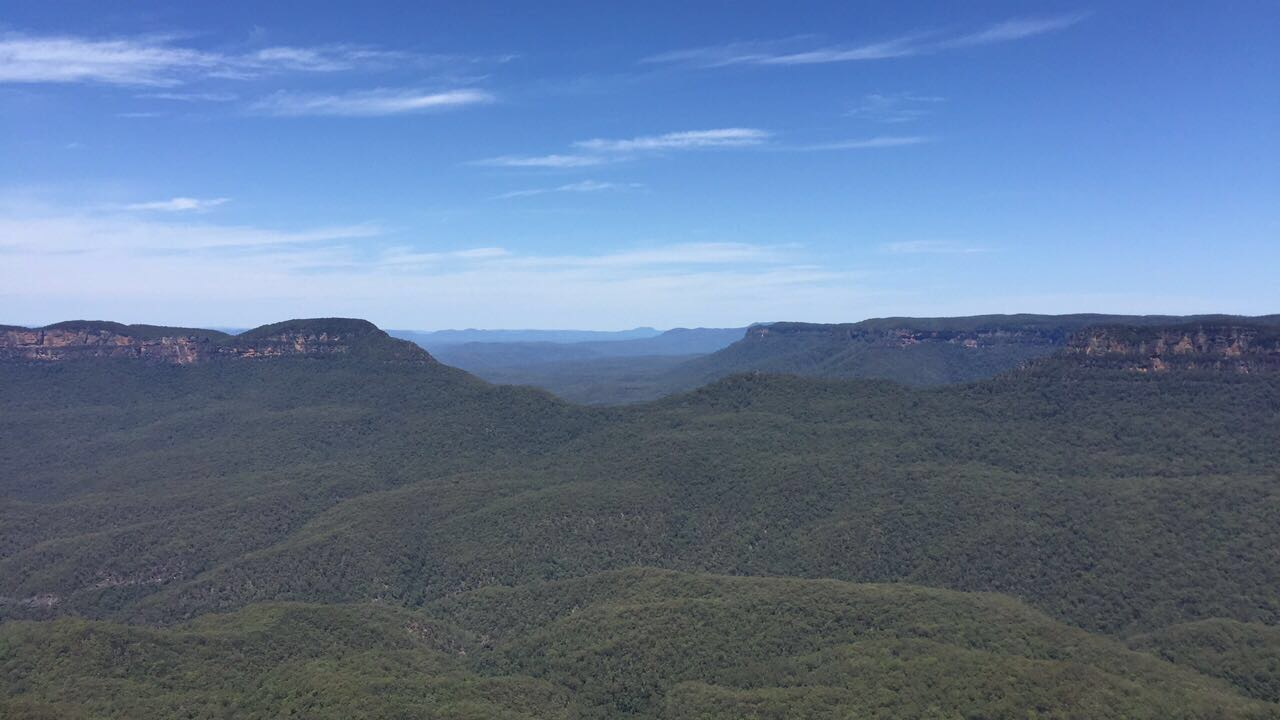 Vast scenic view of forested mountains