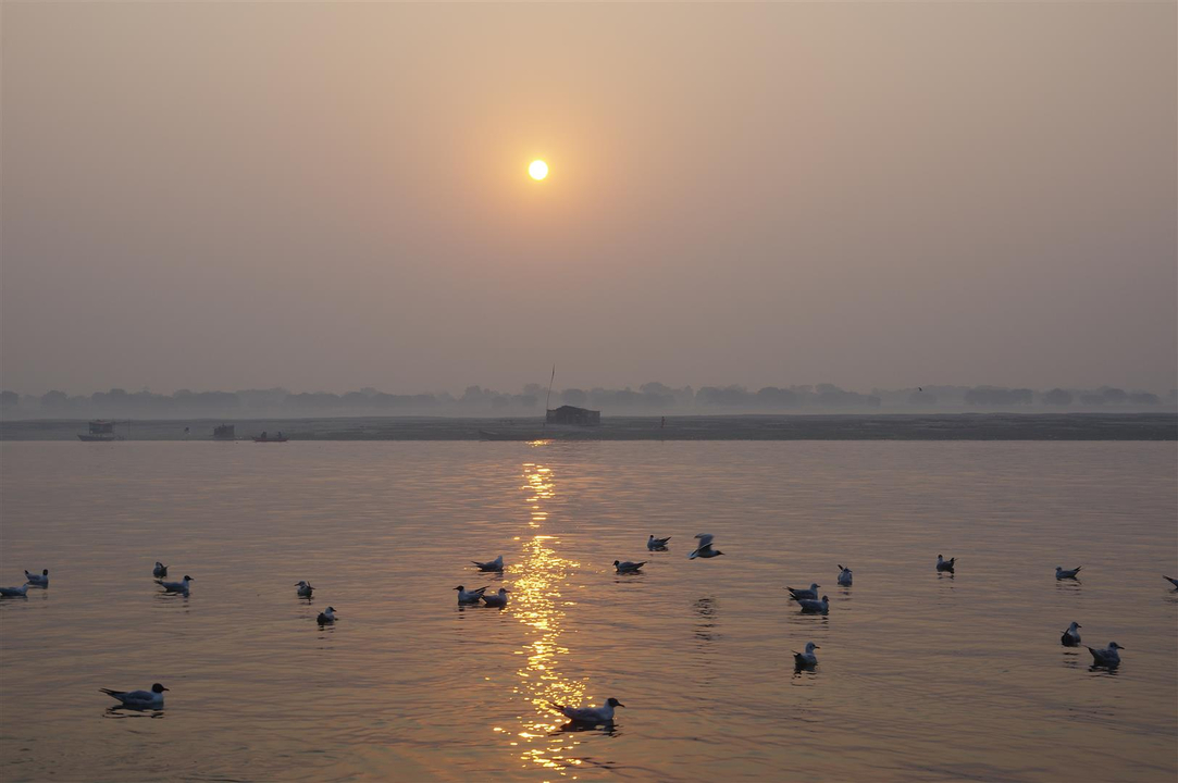 Coucher de soleil sur une rivière avec des oiseaux en vol.