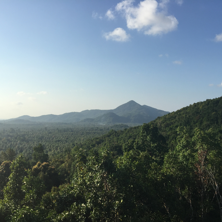 Mountain landscape with lush greenery under a clear sky.