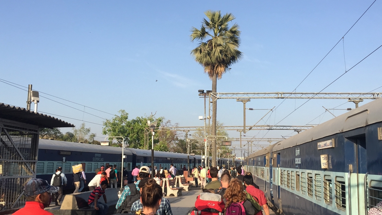 Quai de gare animé avec des gens et un palmier.