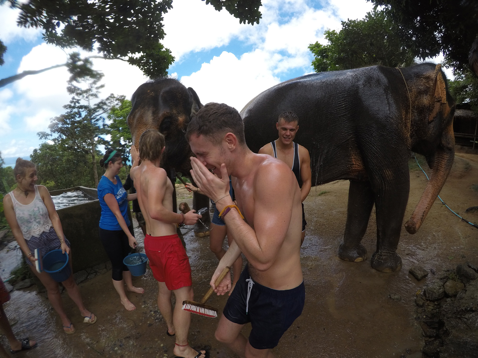 People interacting with elephants in a sandy area.