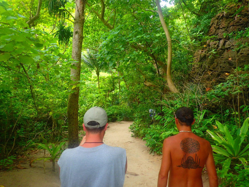 Two people walking through a lush forest trail, viewed from behind.